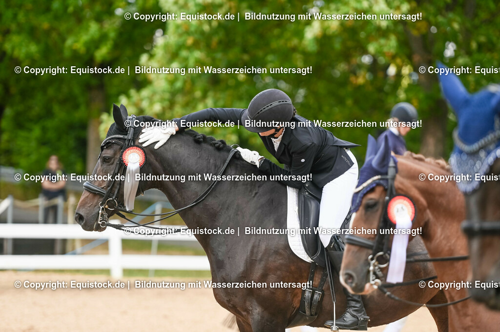 20230716_01_Dressurprüfung Kl.M_0681 | equistock