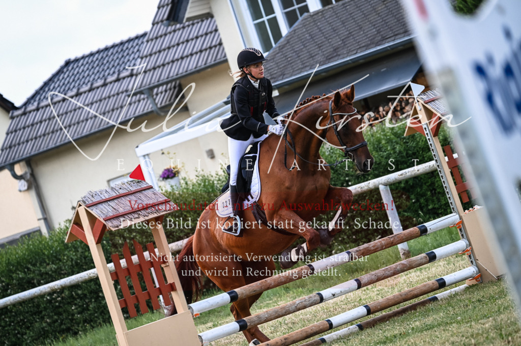DSC_8457 | Pferde- und Turnierfotografie in Westsachsen. Pferdeportraits, Auftragszeichnungen und intuitive Kunst.