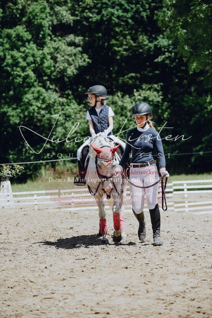 DSC_2592 | Pferde- und Turnierfotografie in Westsachsen. Pferdeportraits, Auftragszeichnungen und intuitive Kunst.