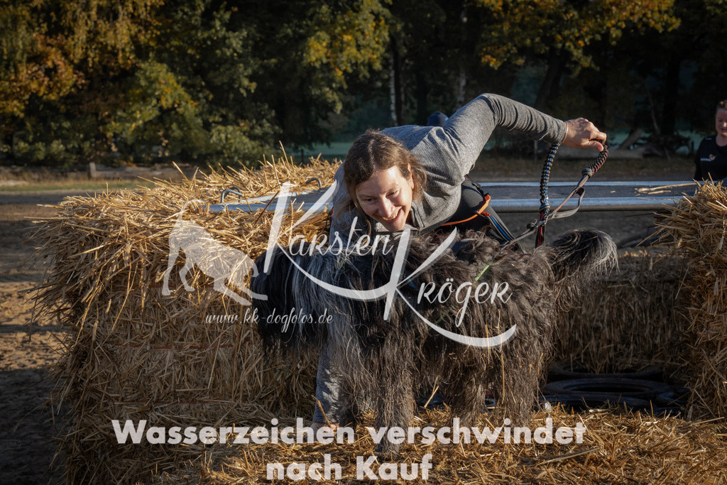 0937_ZZ93966 | kk-dogfotos