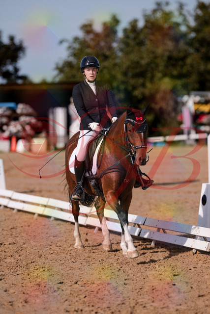 2026_10_03_Siefer-Hof_115807_Z81_00232164 | Professionelle Reitsport-, Turnier- und Eventfotografie von Robert Broda. Galerien mit ausgewählten und bearbeiteten Bildern direkt online ansehen und bestellen.