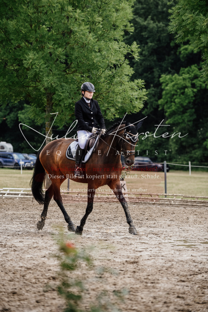 DSC_0753 | Pferde- und Turnierfotografie in Westsachsen. Pferdeportraits, Auftragszeichnungen und intuitive Kunst.