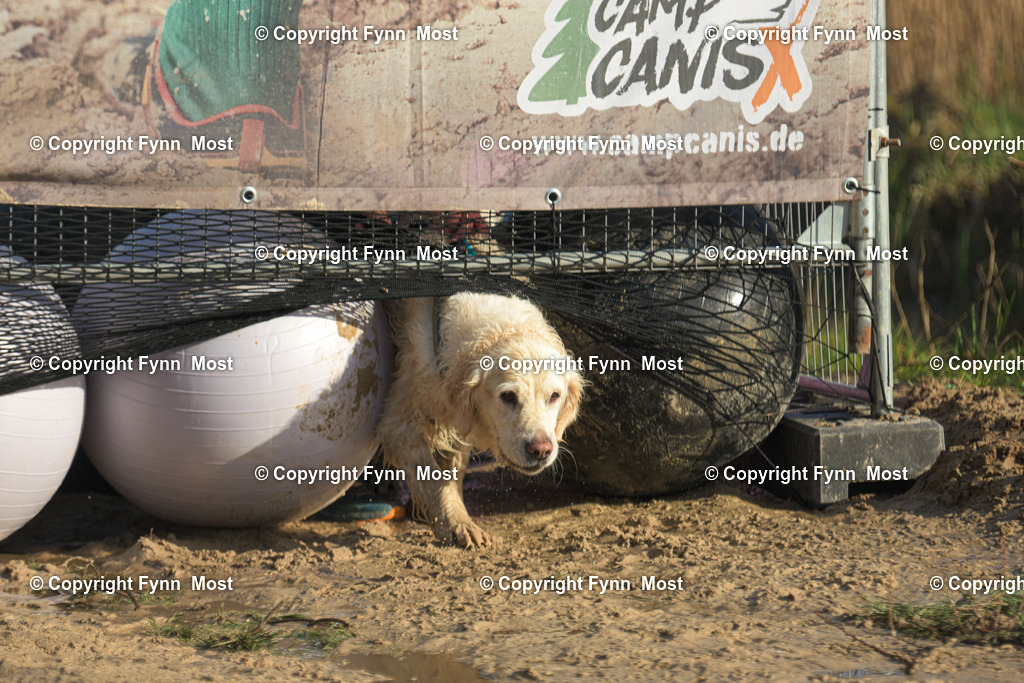 DSC_0214 | Hallo und herzlich Willkommen auf meiner Shop-Seite Fynn Most.

Ich wünsche Dir viel Spaß beim stöbern durch die Bilder, wenn Du Fragen hast oder Bilder vermisst, kannst du mir gerne eine Nachricht schreiben. - Realisiert mit Pictrs.com