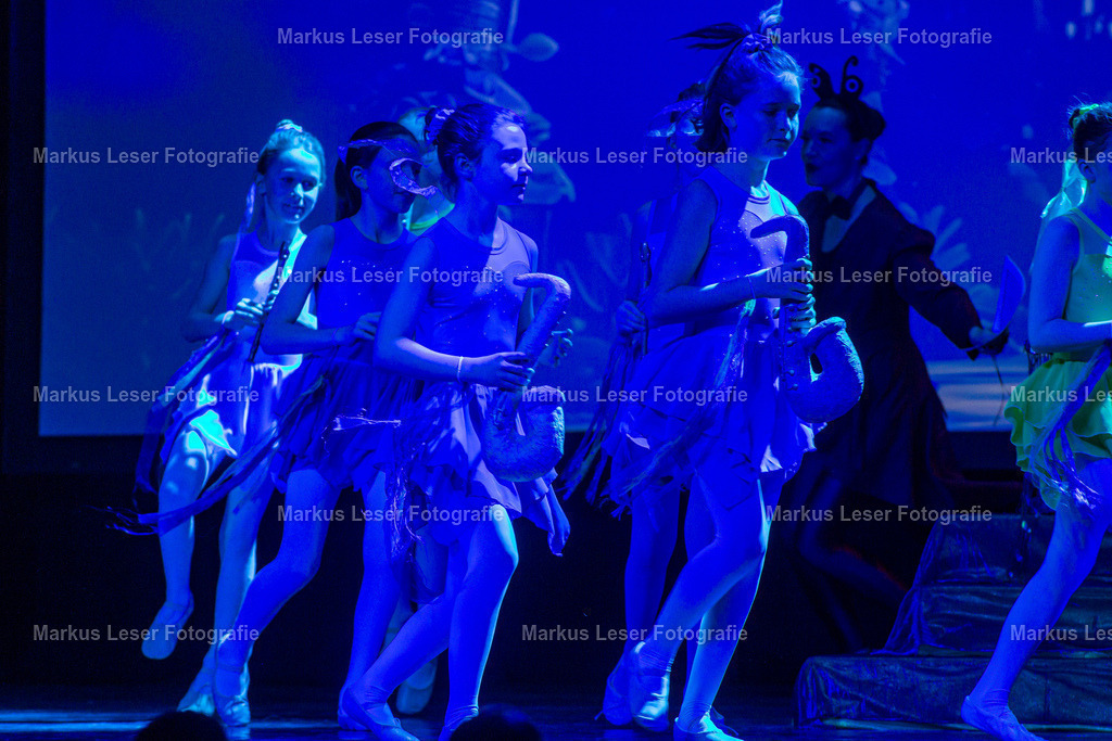 mlBallettSaNachm-8718 | Markus Leser Fotografie - Realisiert mit Pictrs.com
