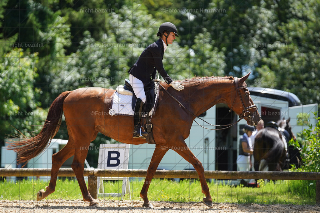 20240705-FAH04246 | Turnierbilder von Grafing, Reitsportbilder, Turnierfotos, Turnierfotografen Bayern, Pferdefotograf, Fotoagentur Herrmann