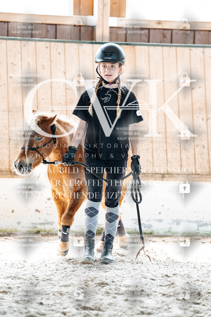 CK906980 | Turnierfotografie Pferdefotografie Trier Rheinland-Pfalz Pferdesport Reitsport Tierfotografie Sportfotografie Pferdevideo Pferdevideografie Equestrianvideography equestrianphotography  - Realisiert mit Pictrs.com
