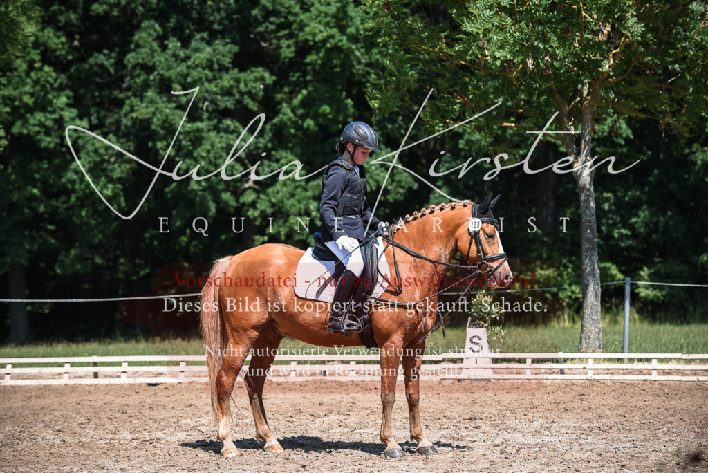 DSC_3291 | Pferde- und Turnierfotografie in Westsachsen. Pferdeportraits, Auftragszeichnungen und intuitive Kunst.