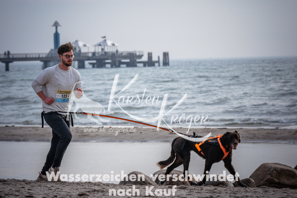 1049_ZZ96336 | kk-dogfotos