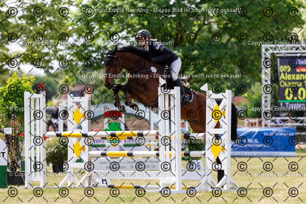 CL5A6170 | Emilia Reinking Fotografie - Realisiert mit Pictrs.com