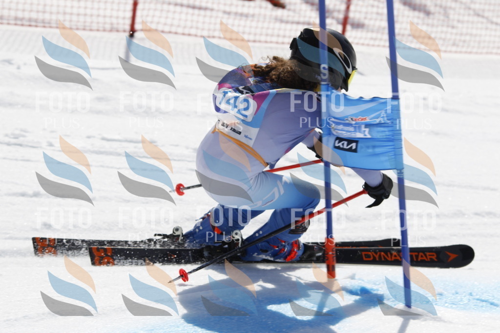 _U3G1080 | holidayphoto