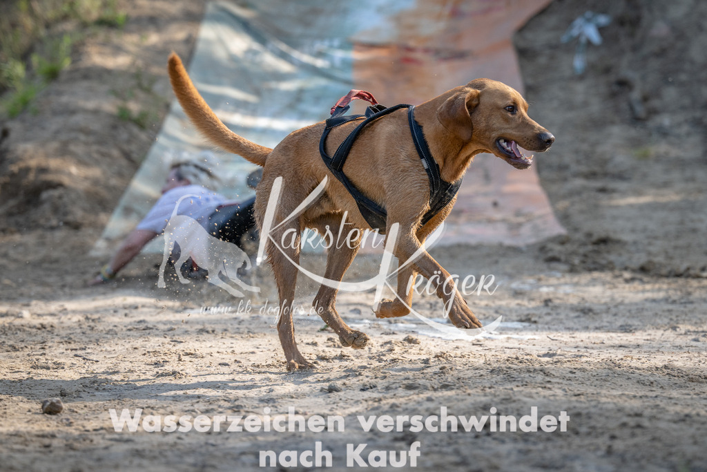 0916_ZZ95270 | kk-dogfotos