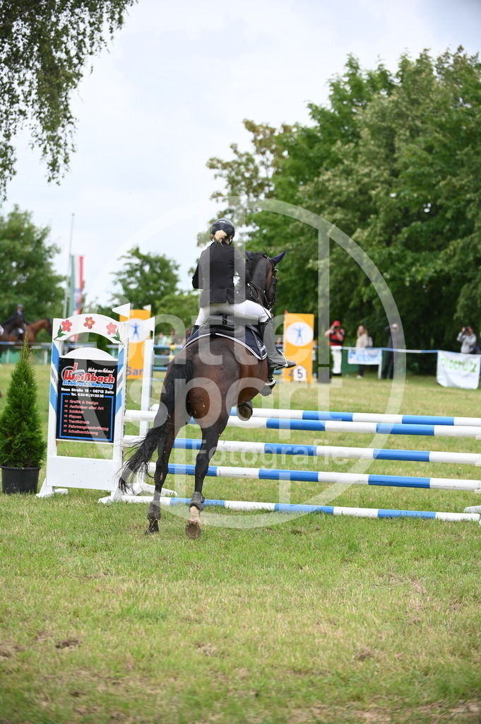 DSC_1176 | sattelsport - Realisiert mit Pictrs.com