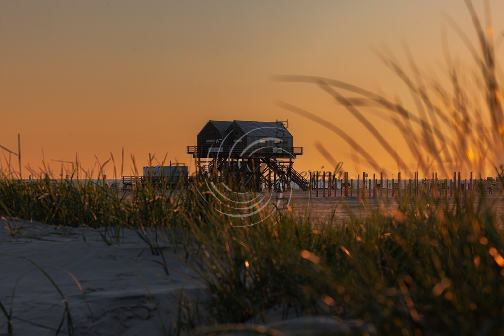 _X0A1354 | Frank Herberich Fotografie, Frank Herberich, Fotografie, Hochzeit, Portrait, St. Peter Ording, Ording, Westerhever, Nordsee, Frank Fotografie, Hardheim,  Odenwald,Walldürn, Band,Eventfotografie - Realisiert mit Pictrs.com