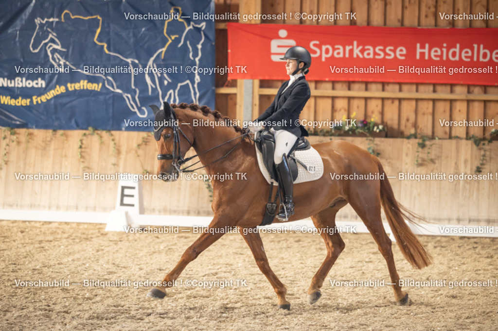 _D5A3182 | Emotionale Pferde- & People-Fotografie rund um Heidelberg, Leimen & Umgebung. Natürliche Fotos von Pferd, Mensch & Familie. Jetzt Termin sichern!