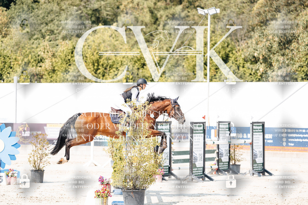 CK901842 | Turnierfotografie Pferdefotografie Trier Rheinland-Pfalz Pferdesport Reitsport Tierfotografie Sportfotografie Pferdevideo Pferdevideografie Equestrianvideography equestrianphotography  - Realisiert mit Pictrs.com