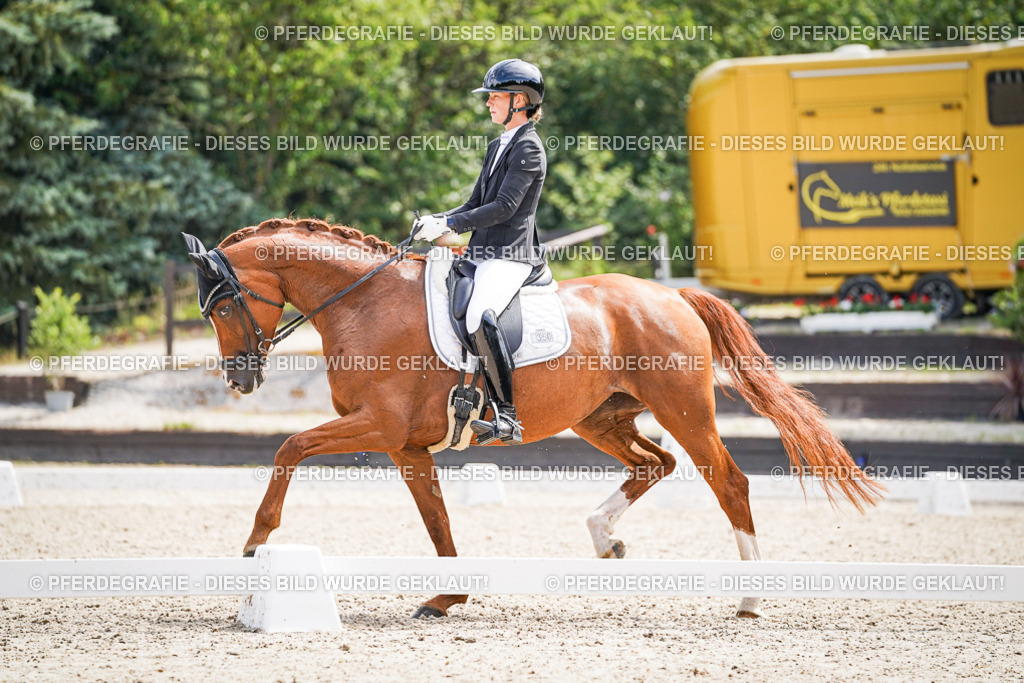 DSC09959 | Pferdegrafie