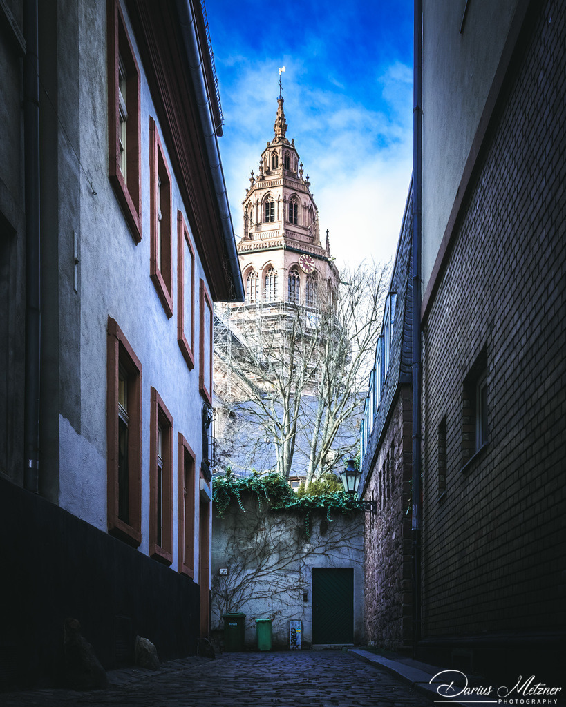 Der Mainzer Dom | Der Mainzer Dom