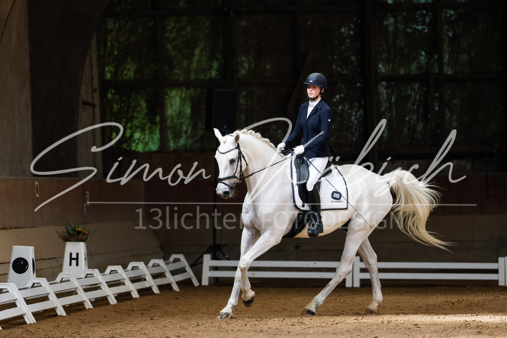20250621-_3LI6282 | Tierfotografie Pferde, Hunde, Katzen, Haustiere.
Turnierfotografie Reitturniere, Reiten, Springreiten, Dressur in Hanau, dem Main-Kinzig-Kreis und dem Rhein-Main- Gebiet um Frankfurt