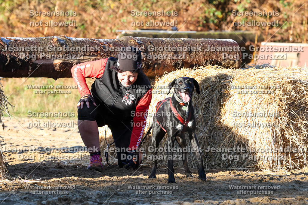 Dog Paparazzi - Strongdog 10-25-823 | Dog Paparazzi Jeanette Grottendiek Fotografie & Videografie - Realisiert mit Pictrs.com