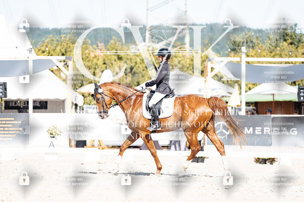 CK908816 | Turnierfotografie Pferdefotografie Trier Rheinland-Pfalz Pferdesport Reitsport Tierfotografie Sportfotografie Pferdevideo Pferdevideografie Equestrianvideography equestrianphotography  - Realisiert mit Pictrs.com