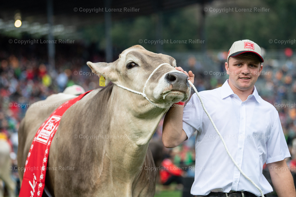 Schwingen -  ESAF 2025 Samstag | Mollis, 30.8.25, Schwingen - ESAF Samstag.