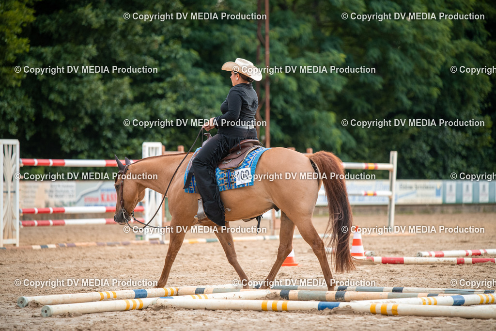 ZS2_7424 | dv-media-shop - Realisiert mit Pictrs.com