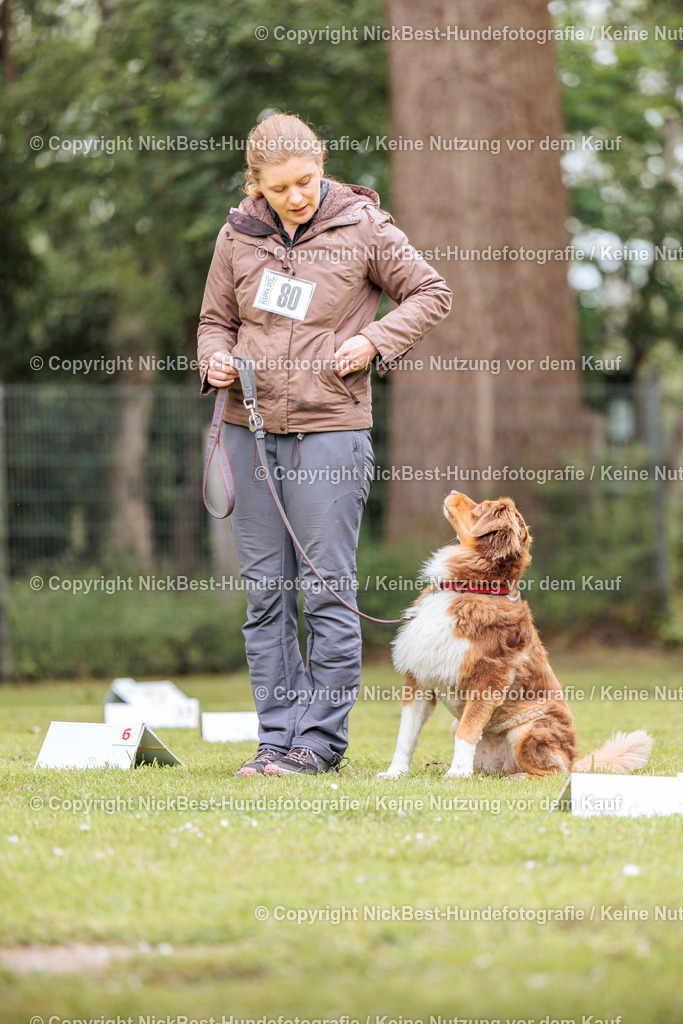 RO-Blumenthal-2026-Nickbest-Hundefotografie-3379 | Dein Hund! Dein Moment! Deine Erinnerungen! Hundefotografie in Bremen Blumenthal. Ich fange die besonderen Momente deines Vierbeiners ein – ob Indoor mit Blitzanlage oder in der freien Natur. Sicher dir dein Moment und dein Termin für eure Erinnerungen.