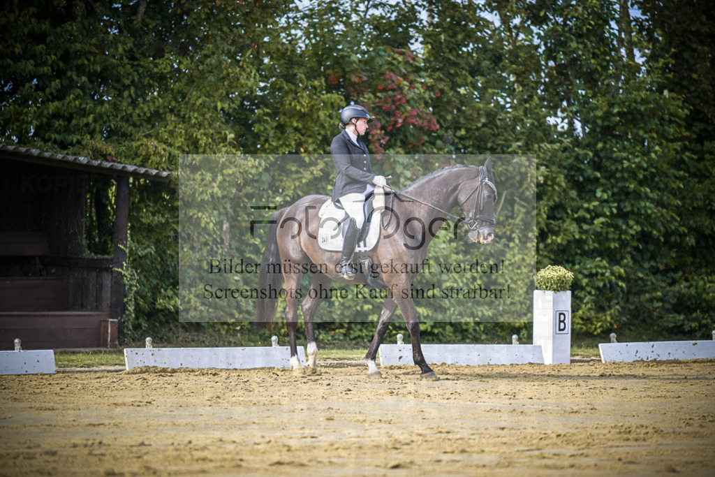 DOS_7908 | Entdecke hochwertige Reitturnierfotos von Foto Oger. Professionell, emotional und authentisch – jetzt Lieblingsmomente im Shop bestellen.Deutschlandweite Turnierfotografie. - Realisiert mit Pictrs.com