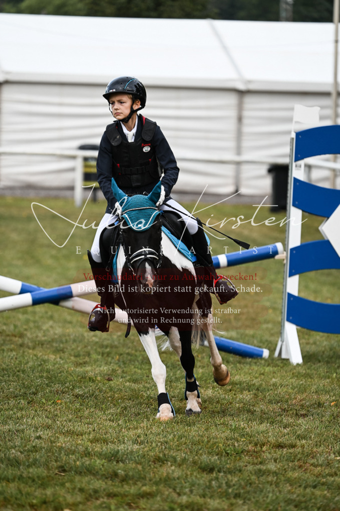 DSC_5474 | Pferde- und Turnierfotografie in Westsachsen. Pferdeportraits, Auftragszeichnungen und intuitive Kunst.