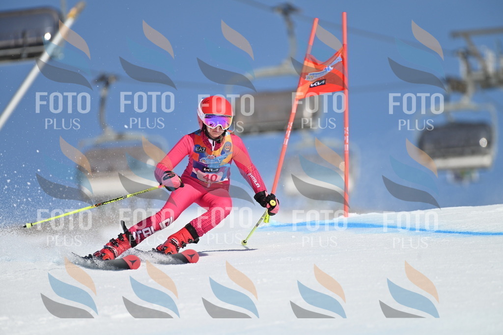 BGV_8349 | holidayphoto