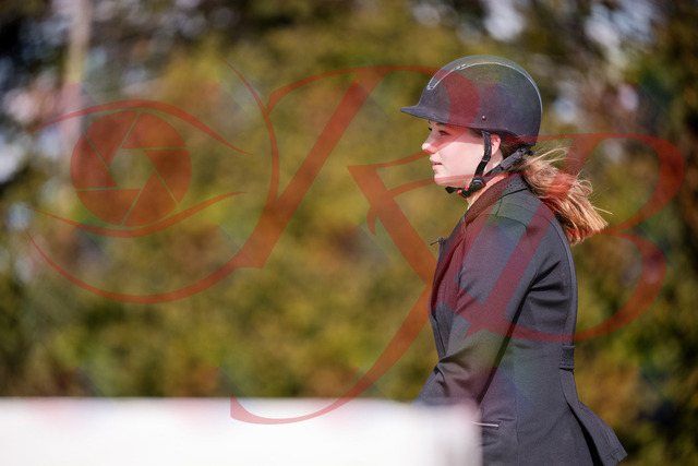 2026_10_03_Siefer-Hof_143558_Z81_05282605 | Professionelle Reitsport-, Turnier- und Eventfotografie von Robert Broda. Galerien mit ausgewählten und bearbeiteten Bildern direkt online ansehen und bestellen.