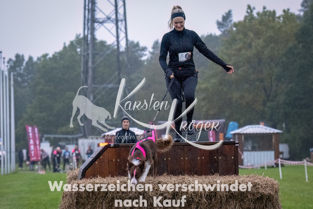 0901-_ZZ92839-Bearbeitet | kk-dogfotos