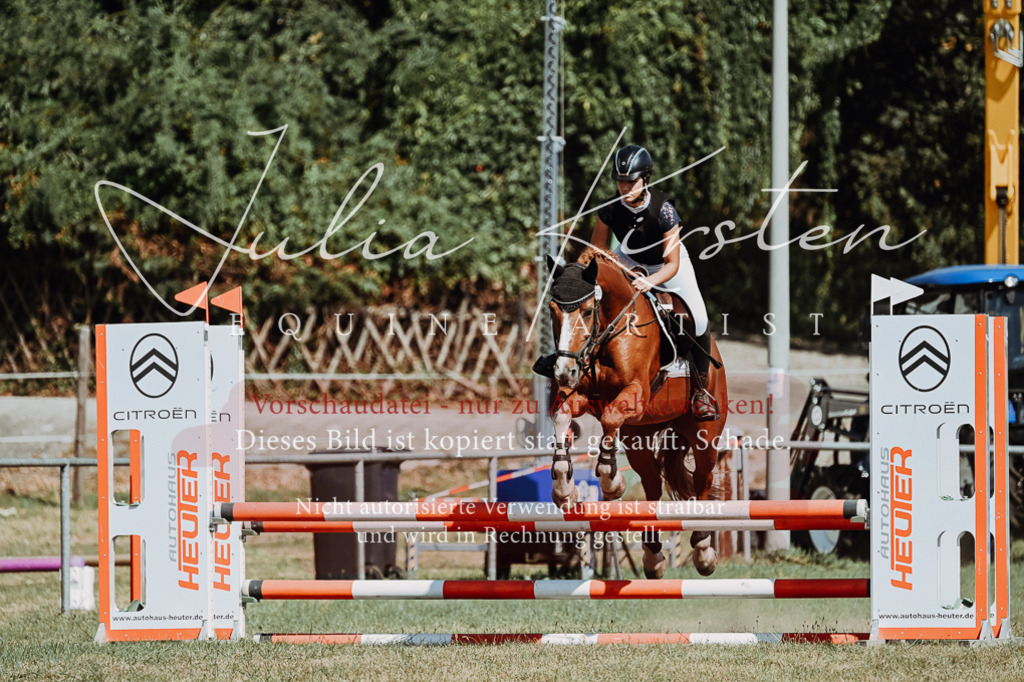 DSC_9697 | Pferde- und Turnierfotografie in Westsachsen. Pferdeportraits, Auftragszeichnungen und intuitive Kunst.