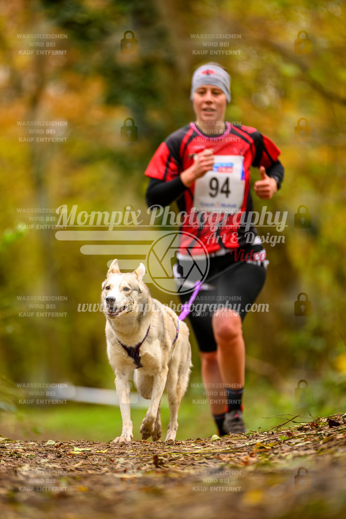 MompixPhotography_Bischwiller24_SA_Canicross-62 | mompixphotography