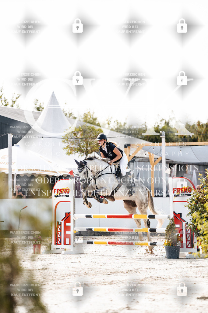 CK905412 | Turnierfotografie Pferdefotografie Trier Rheinland-Pfalz Pferdesport Reitsport Tierfotografie Sportfotografie Pferdevideo Pferdevideografie Equestrianvideography equestrianphotography  - Realisiert mit Pictrs.com