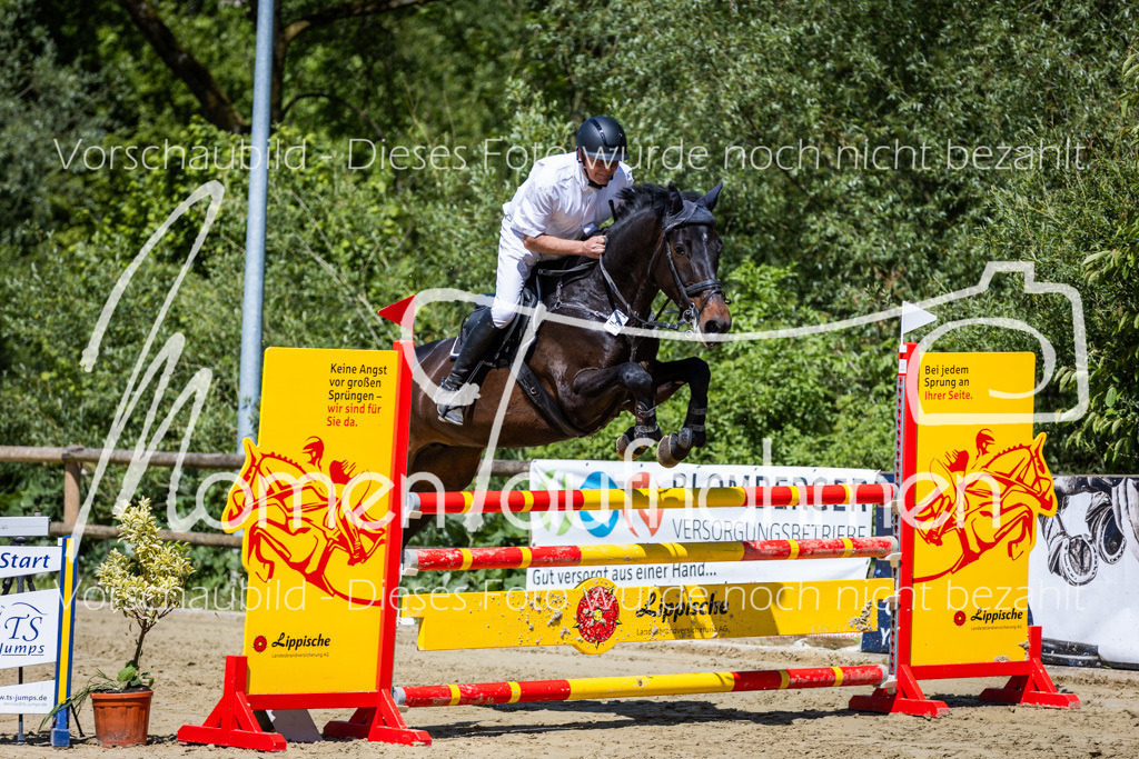 Donop24-Stil-L-030 | MomenTaufnahmen Pferdesportfotos