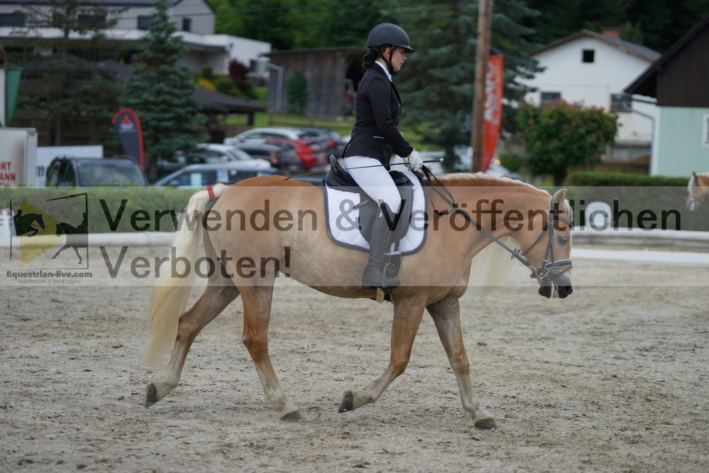 DSC05509 | equestrian-live-com