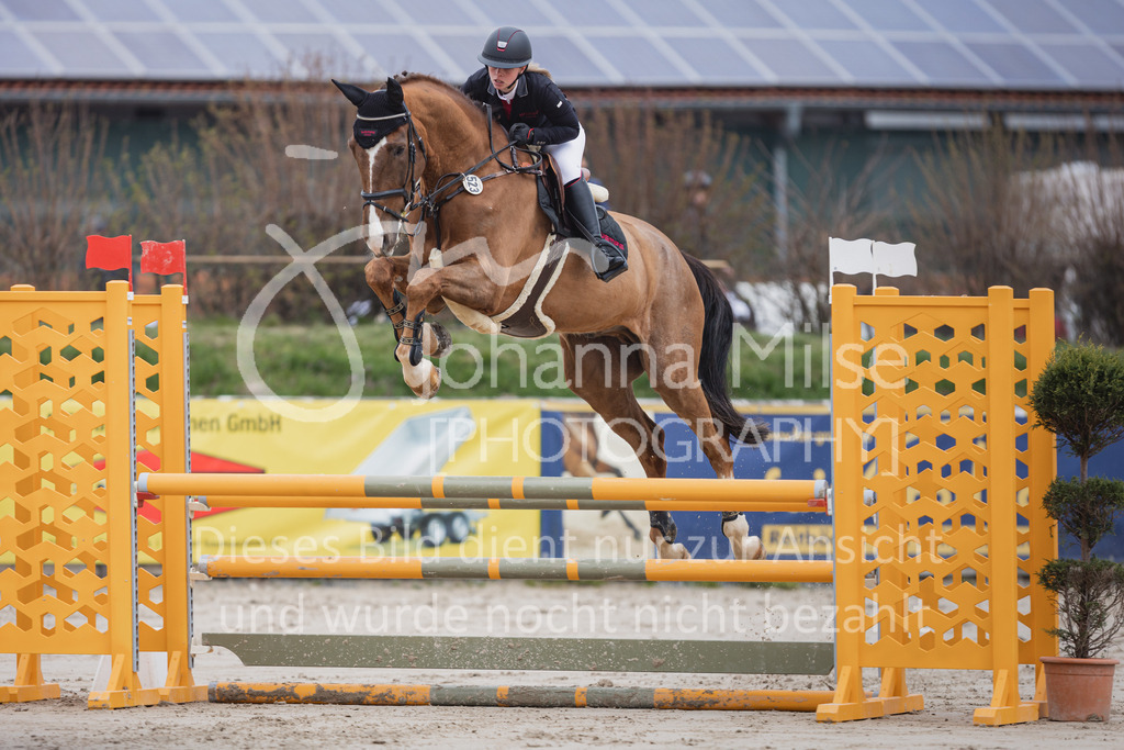 230408_Frühlingsfest_Stil-A2_LK3-4-718 | Deine schönsten Turniermomente als professionelle Fotos! Entdecke hochwertige Pferdesport-Fotografie im Online-Shop. Jetzt Fotos finden & bestellen!