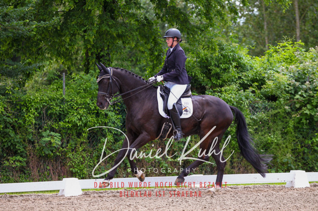 DKP41180 | Turnierfotos kaufen im Webshop von Daniel Kuhl Photography – entdecke professionelle Reitsportfotos aus Turnieren & Events. Hochwertige Turnierbilder online bestellen & sichern. Jetzt Fotos von Reitsportturnieren kaufen!