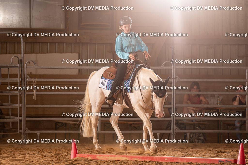 NID00845 | dv-media-shop - Realisiert mit Pictrs.com