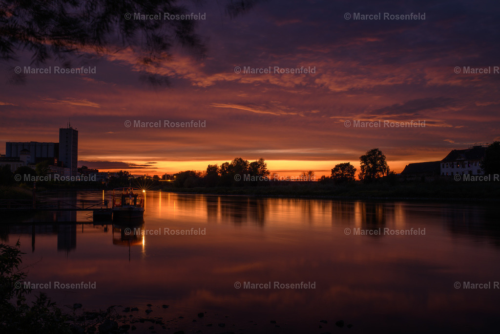 _DSC1339 | foto-rosenfeld