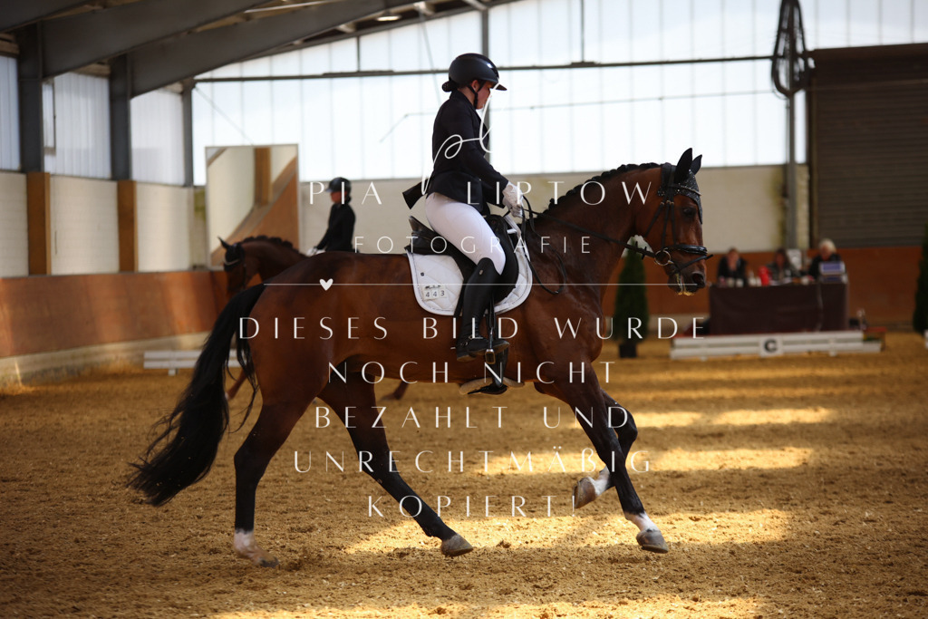 IMGT5081 | pl-fotografie