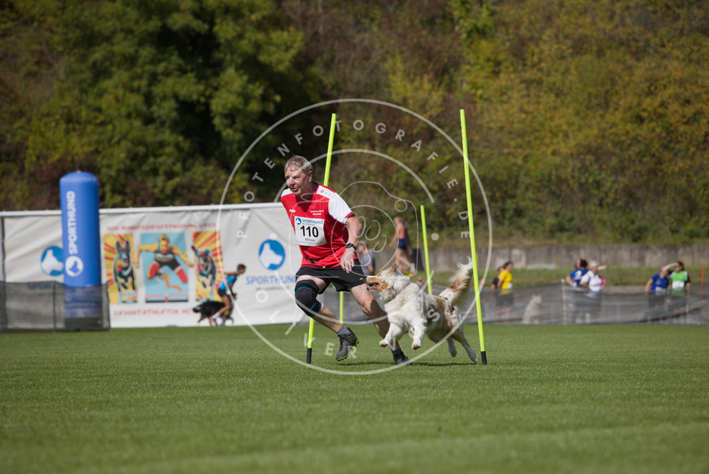0L8A2681 | Hundefotografie, Tierfotograf, Pfotenfotografie, Fotoshooting Hund, Hunde Portrait, Hundesport, Hundeportraits, Heideshooting, Hunde, Sportfotograf, Hundefotograf, Turnierhundsport, THS,  - Realisiert mit Pictrs.com