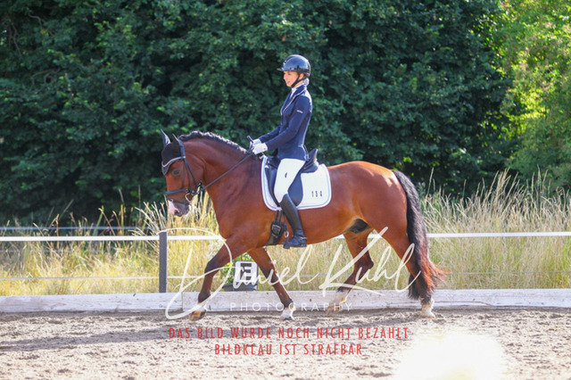 DKP45471 | Turniersportfotografie; Pferdefotografie; Dressurfotografie