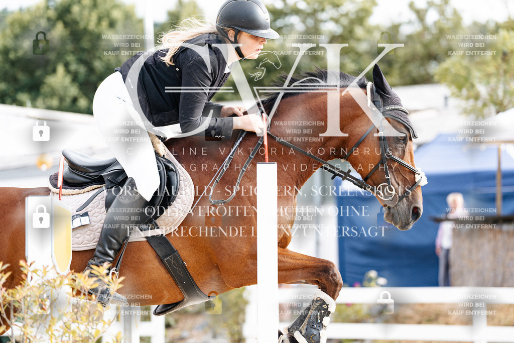 CK903015 | Turnierfotografie Pferdefotografie Trier Rheinland-Pfalz Pferdesport Reitsport Tierfotografie Sportfotografie Pferdevideo Pferdevideografie Equestrianvideography equestrianphotography  - Realisiert mit Pictrs.com