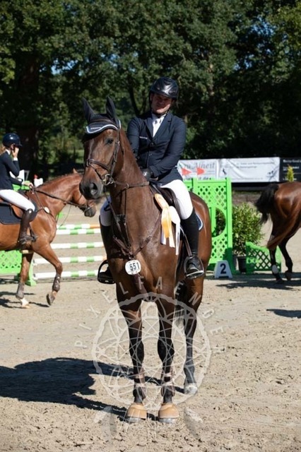 2B4A0337 | pixelfaenger - Realisiert mit Pictrs.com