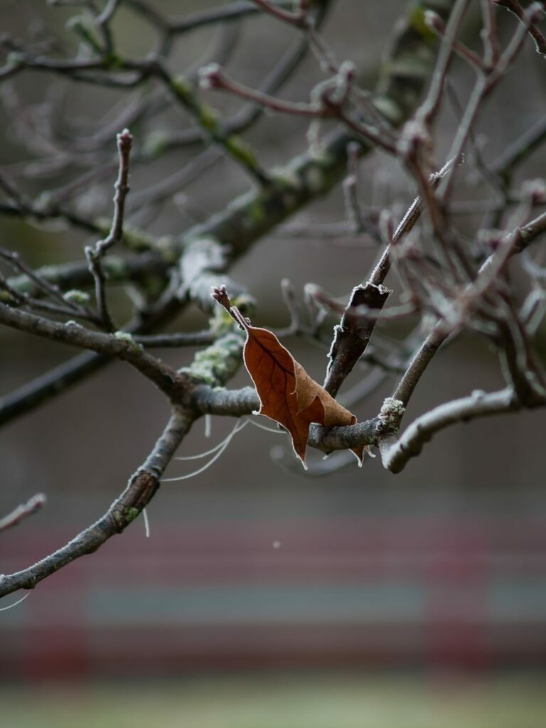 PSX_20221203_234819 | mtkfoto_ - Realisiert mit Pictrs.com