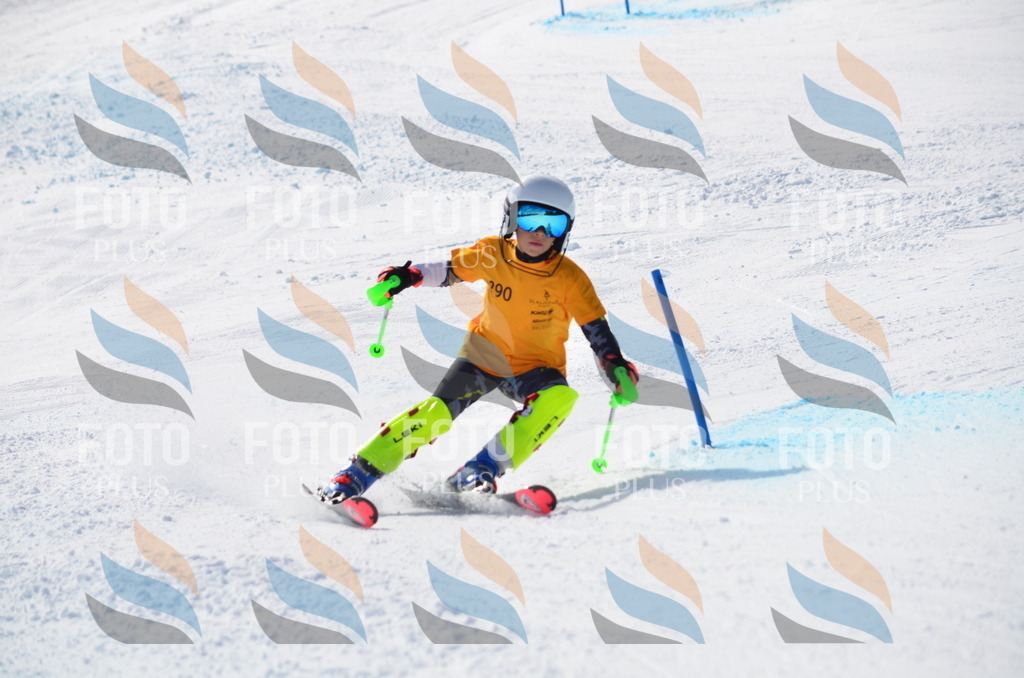 C8694 | holidayphoto