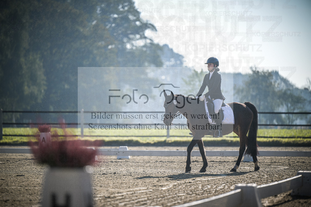 DOS_0655 | Entdecke hochwertige Reitturnierfotos von Foto Oger. Professionell, emotional und authentisch – jetzt Lieblingsmomente im Shop bestellen.Deutschlandweite Turnierfotografie. - Realisiert mit Pictrs.com