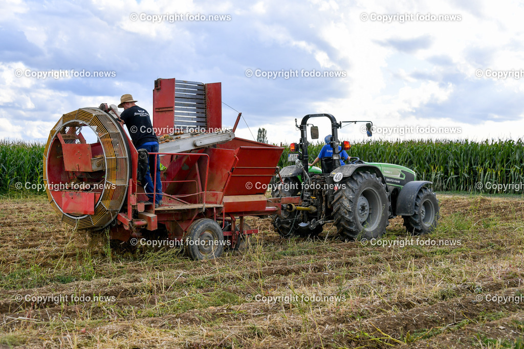 Deutschland_ Baden-Wuerttemberg_ Ebersbach an der Fils_ 30.08.2025-3 | 30.08.2025, Deutschland, GER, Baden-Wuerttemberg, Ebersbach an der Fils, im Bild Themenbild, Kartoffelernte, Erdaepfel, Landwirtschaft, Bauer, Baeuerin, Erntemaschinen, Kartoffelroder, Traktor, Anhaenger, Erntehelfer, Ackerbau, Bodenbearbeitung, Knollenernte, Landwirtschaftsbetrieb, Feld, Feldarbeit, Acker, Erntetransport, landwirtschaftliche Technik, Agrarwirtschaft, Sortieranlage, Lagerung, Erntezeit, Fruchtfolge, Schlepper, Erntelogistik, Bio-Kartoffeln, mechanische Ernte, Agrartechnik, saisonale Arbeit, Nahrungsmittelproduktion, Feature, Symbolbild